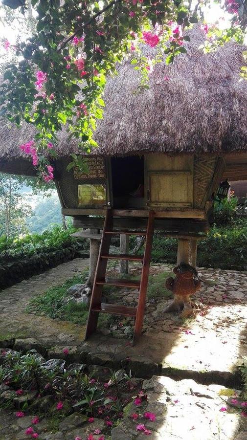Native Village Inn 바나우에 외부 사진